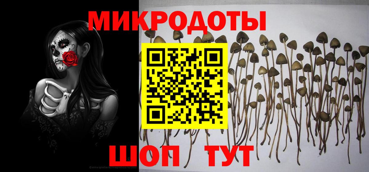 Псилоцибиновые грибы мухоморы Елец