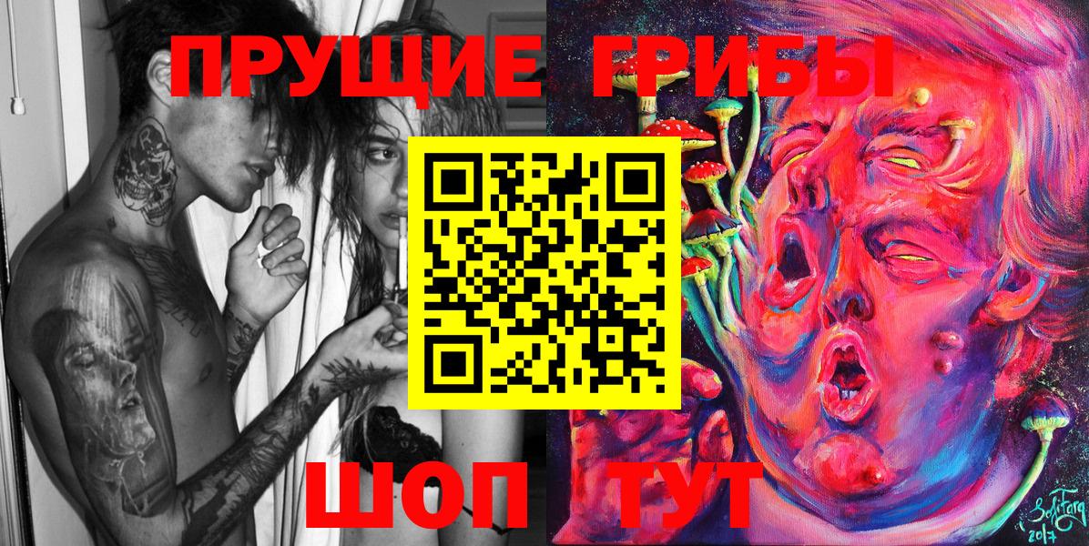 Галлюциногенные грибы Psilocybe  Вход с VPN  Елец 